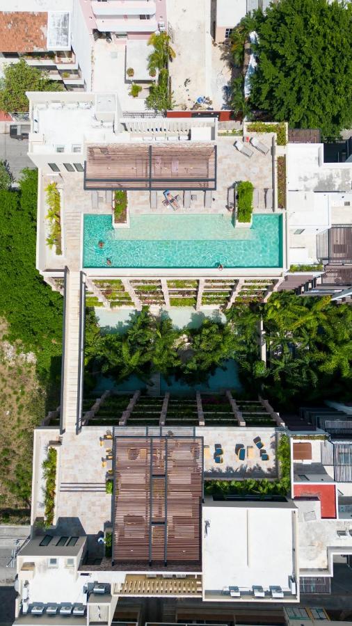 Maravilloso Estudio En Playa Rooftop-Pool-Bbq & Gym By Yeah 普拉亚卡门 外观 照片